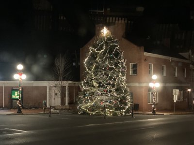 Christmas Tree on the Square (2)